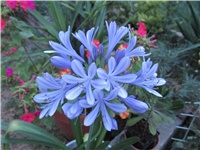 aa689697-Picture 964.jpg